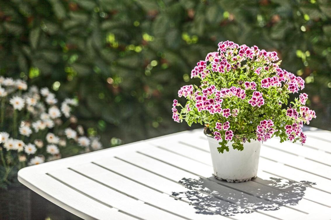 Holiday home Garden Sant'avendrace